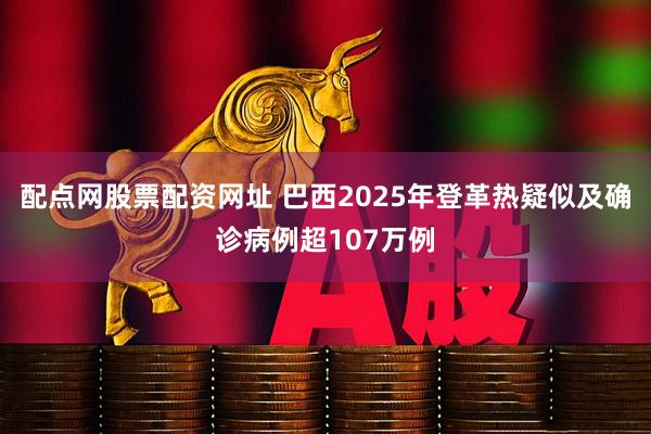 配点网股票配资网址 巴西2025年登革热疑似及确诊病例超107万例
