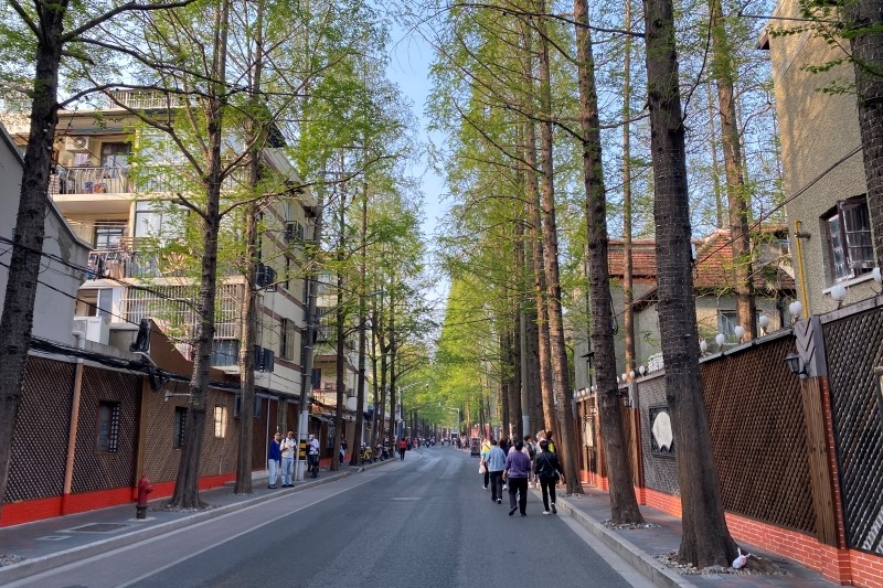 甜爱路因名字“甜爱”而受到现在市民游客的喜欢。佟鑫/拍摄